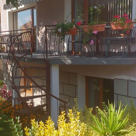 Kyurkchievi Guest House Sapareva Banya Εξωτερικό φωτογραφία