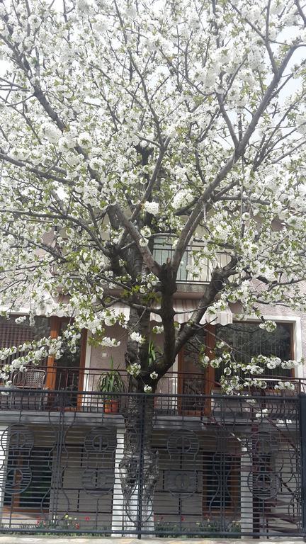 Kyurkchievi Guest House Sapareva Banya Εξωτερικό φωτογραφία