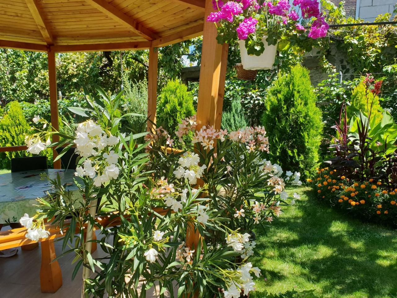 Kyurkchievi Guest House Sapareva Banya Εξωτερικό φωτογραφία