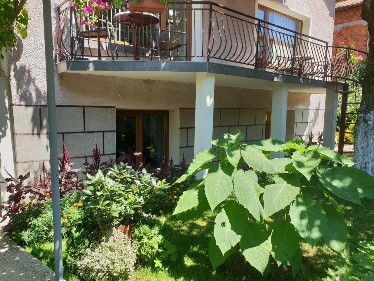 Kyurkchievi Guest House Sapareva Banya Εξωτερικό φωτογραφία