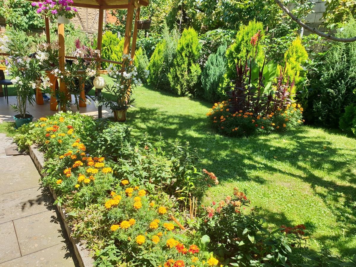 Kyurkchievi Guest House Sapareva Banya Εξωτερικό φωτογραφία