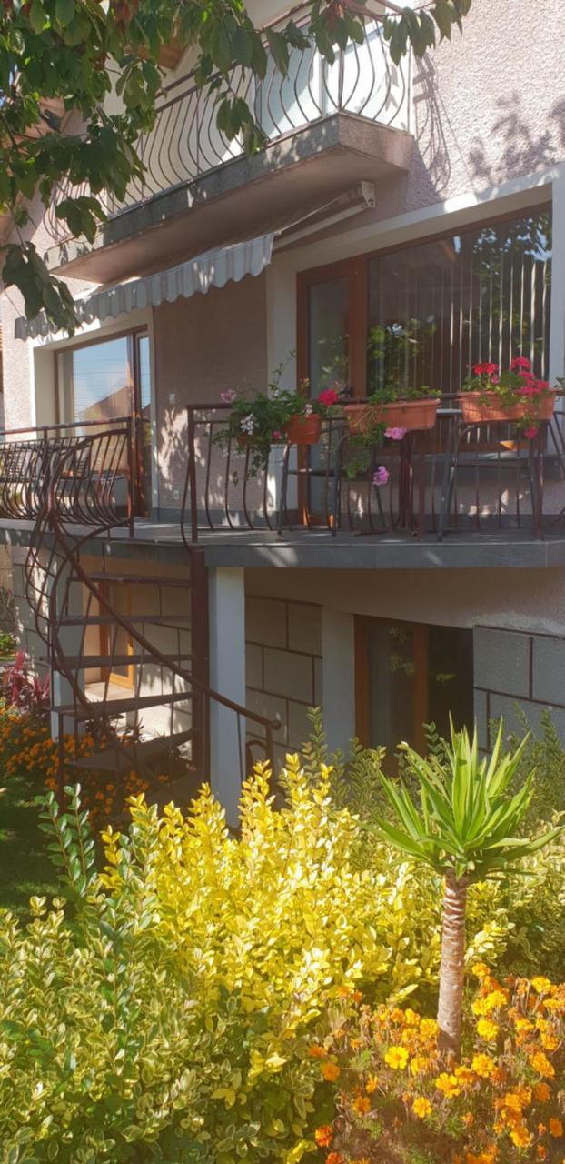 Kyurkchievi Guest House Sapareva Banya Εξωτερικό φωτογραφία