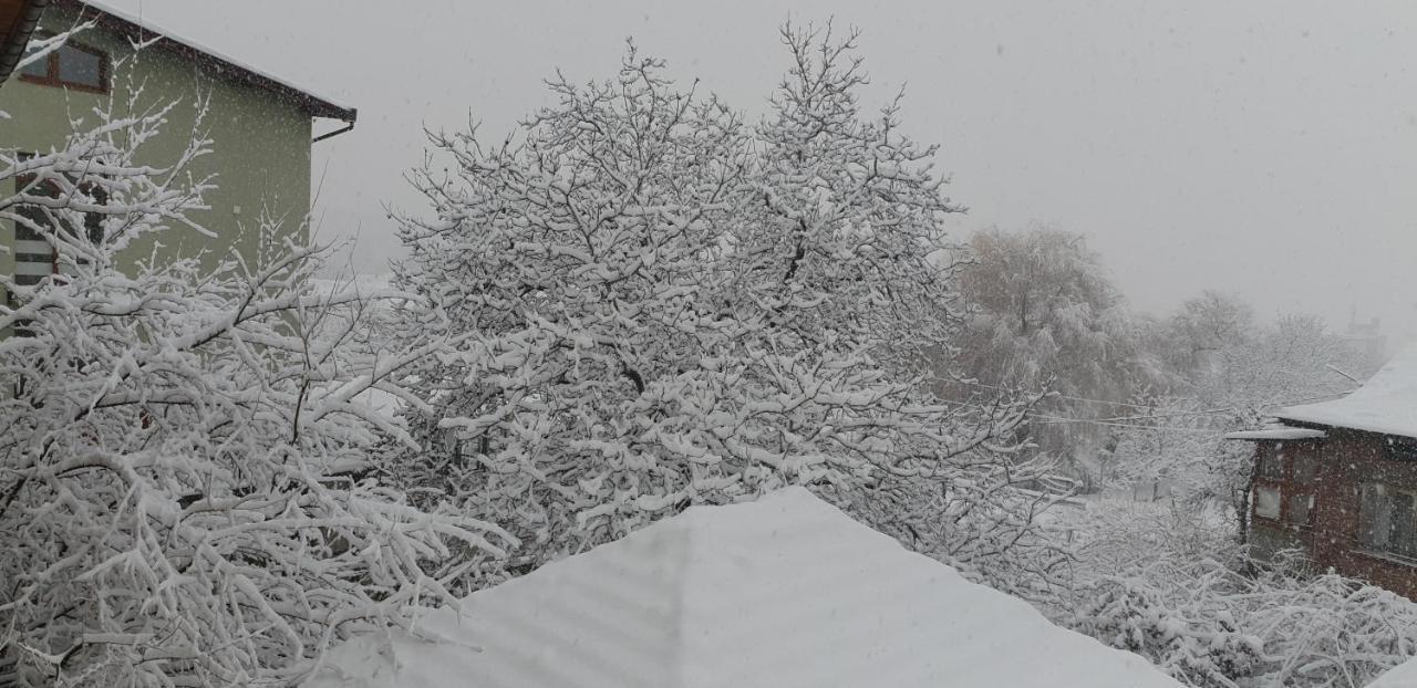 Kyurkchievi Guest House Sapareva Banya Εξωτερικό φωτογραφία